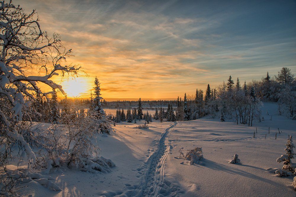 По дороге к солнцу
