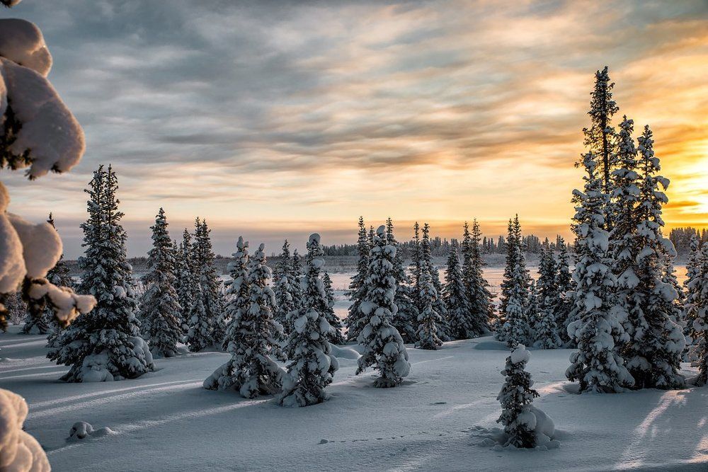 Фотография автора Василий Чобот