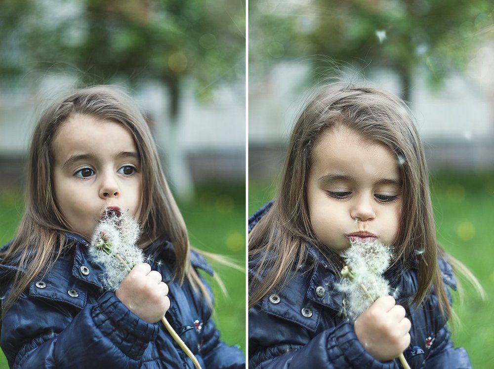 "Одуванчик"