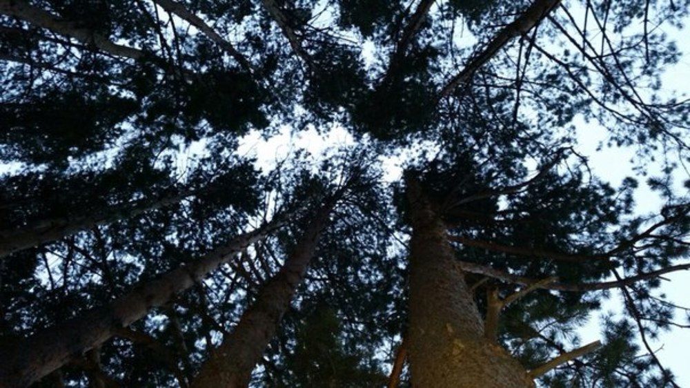 Photograph by Яна