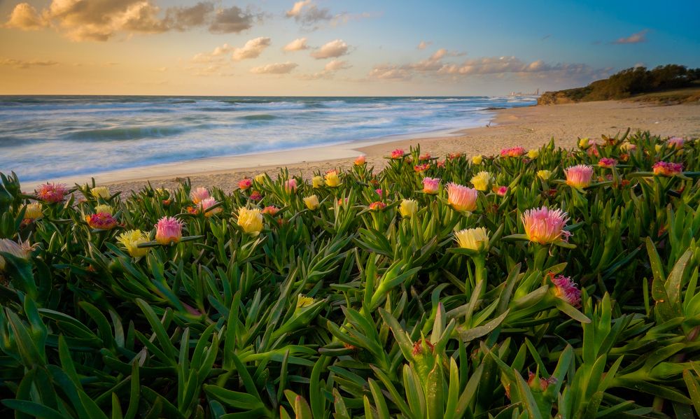 Фотография автора Григорий Крамаренко