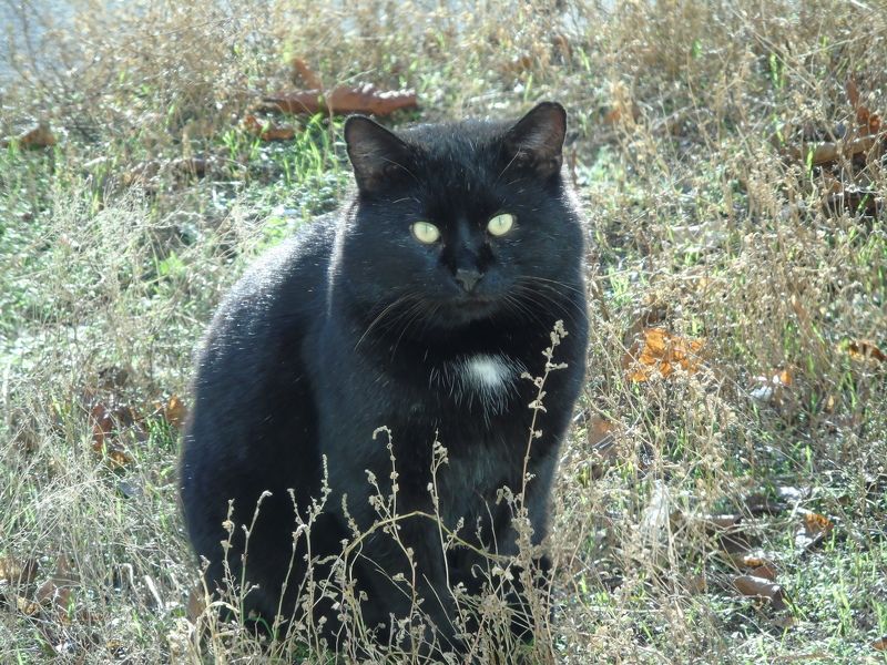 Андрей, Ukraine