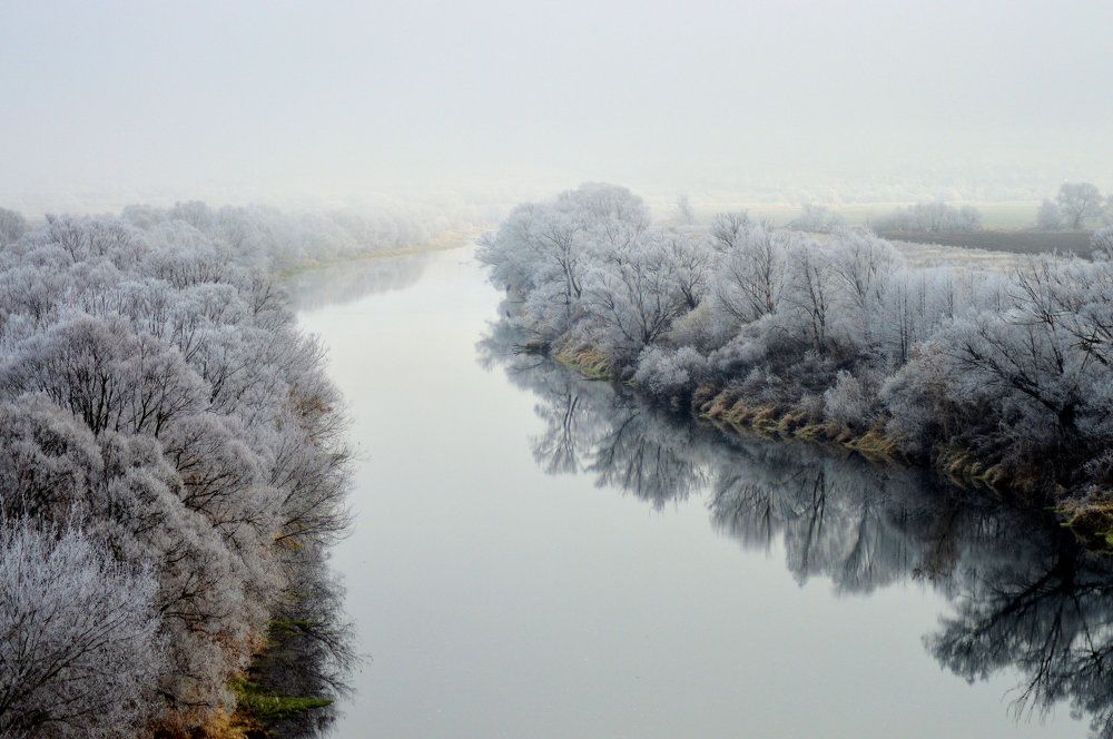 Туман над рекой