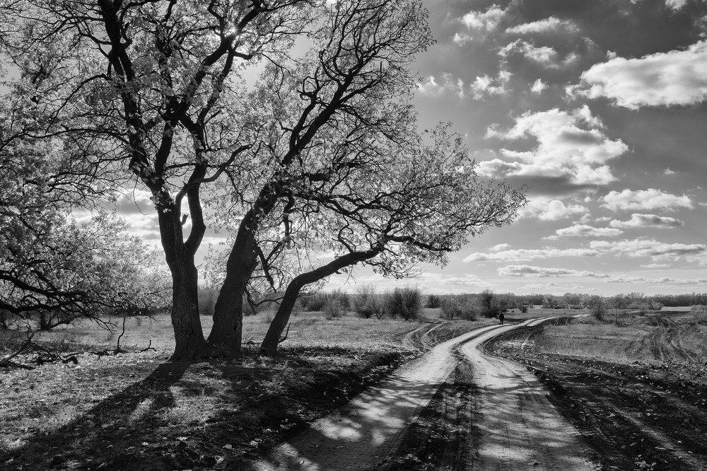 Фотография автора Игорь Баранов