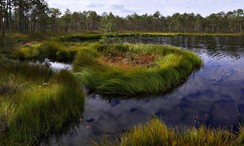 Русская "Виктория"