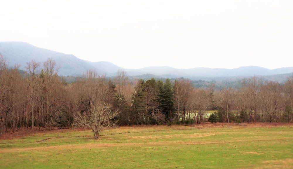 BLUERIDGE COUNTRY SIDE
