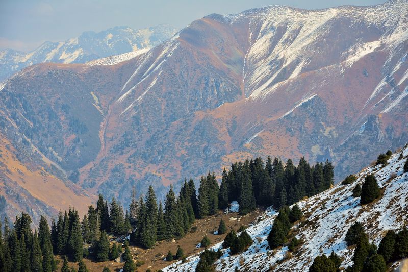 Ферзаулин Руслан, Kazakhstan