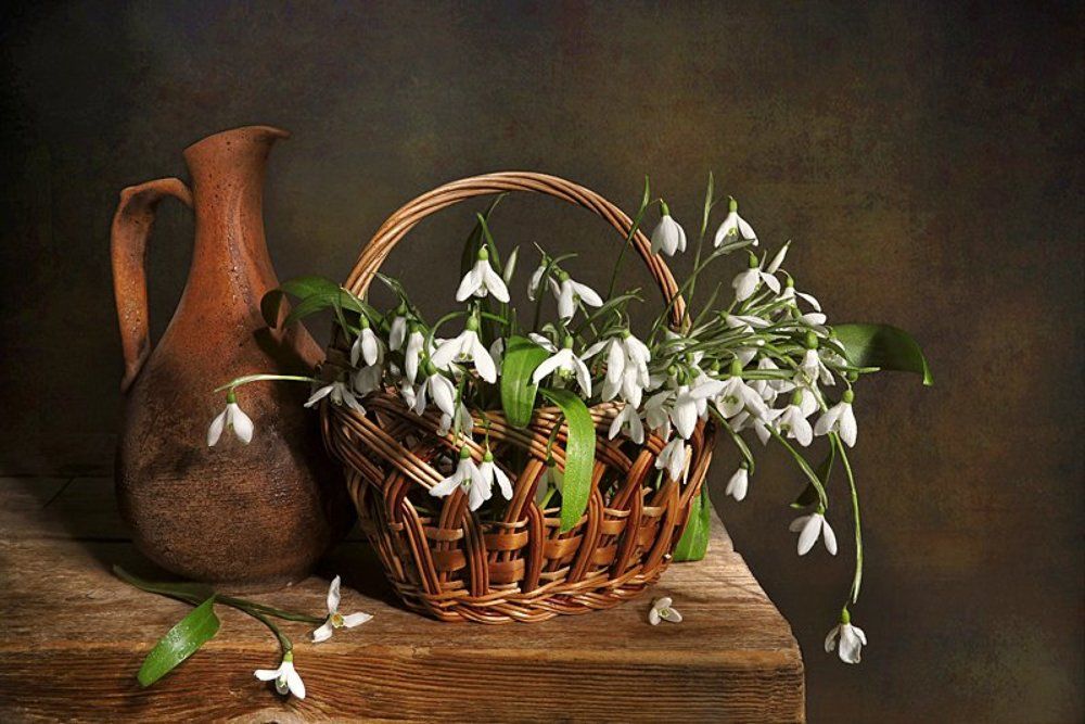 Подснежники