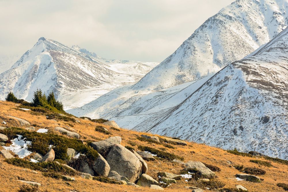 Photograph by Ферзаулин Руслан