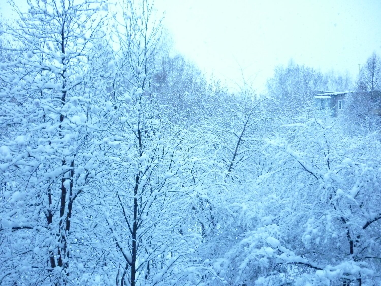 пва