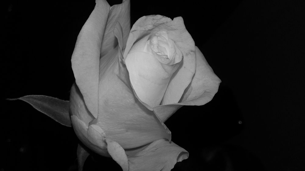 Воспоминание