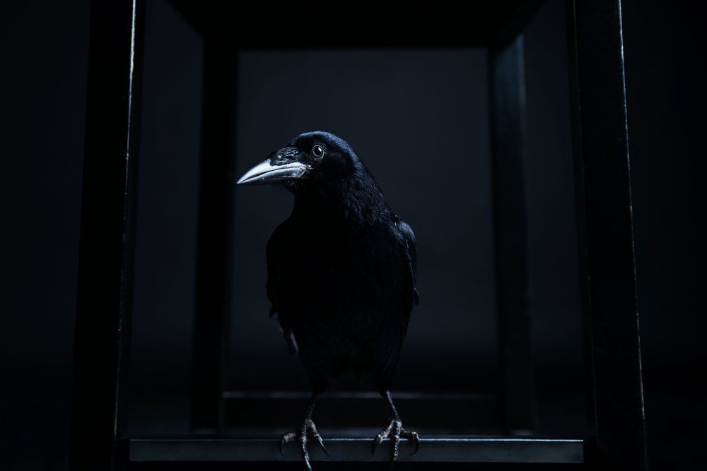 Photograph by Дарья