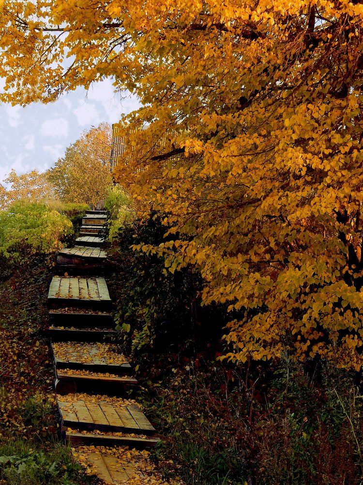 Photograph by Елизавета