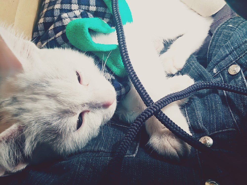 The moment before death