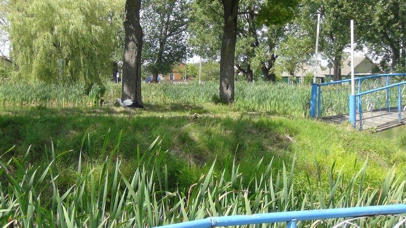 Иванцова Валентина, Belarus