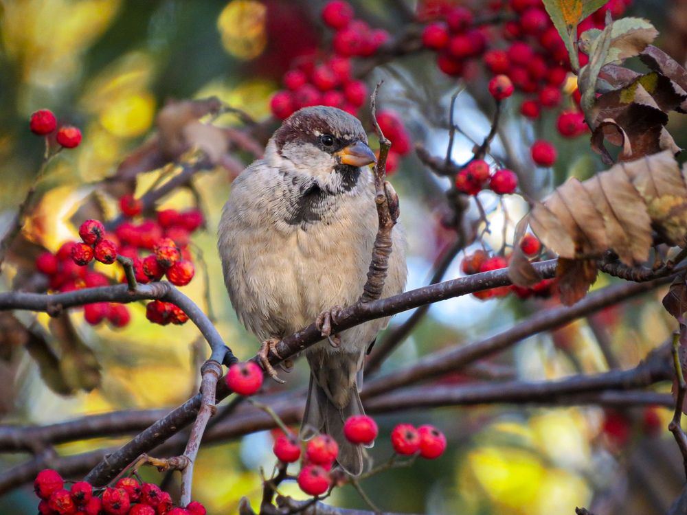 Photograph by Елена Гарипова