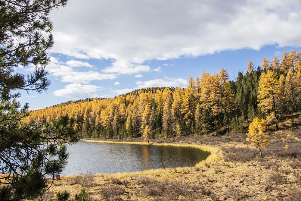 Золото озера КуделЮ