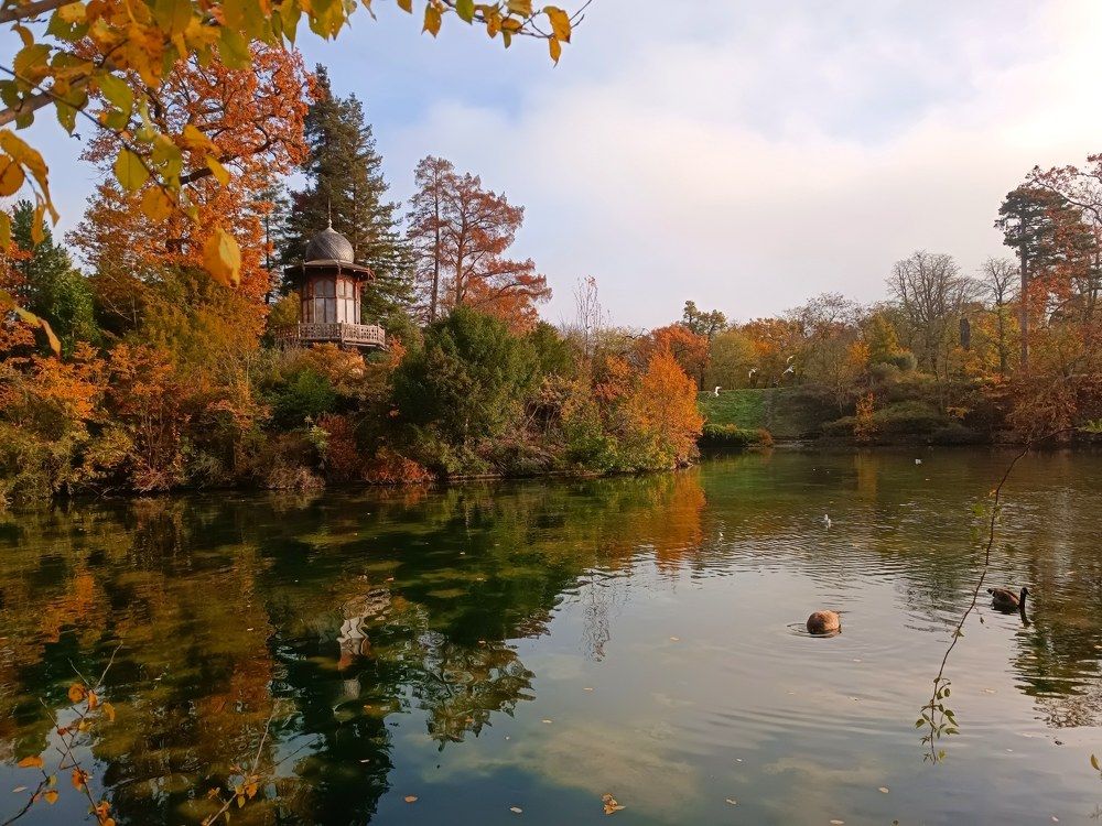 Photograph by Александра Шилова