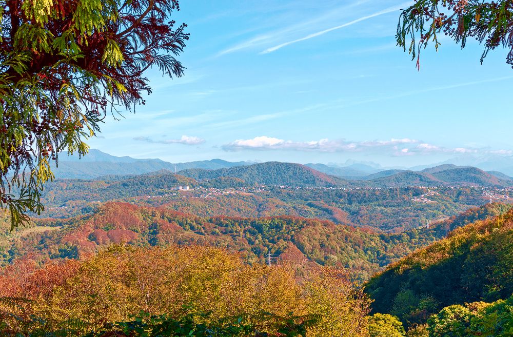 Photograph by Елена Репьева