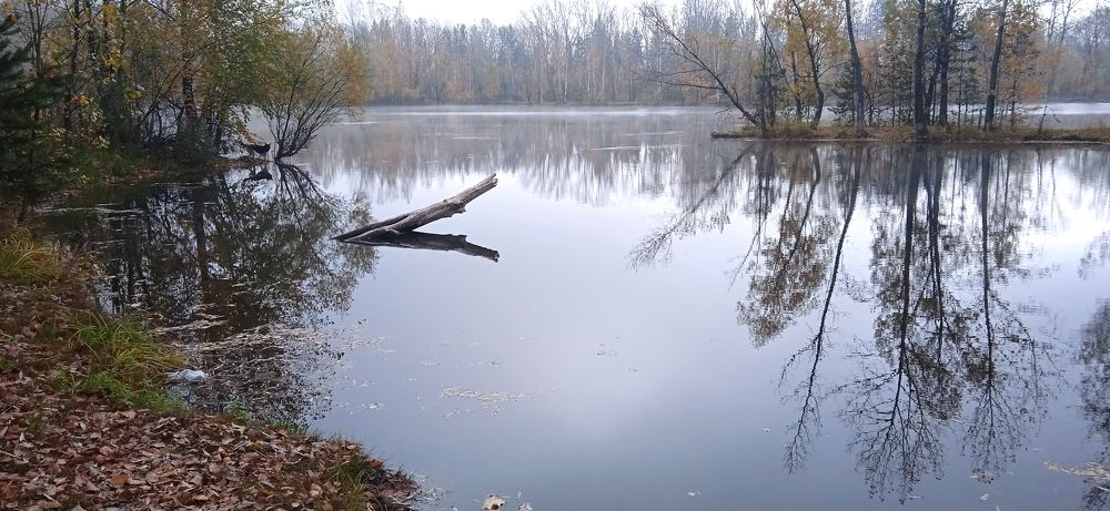 Photograph by Наталья Сорокина