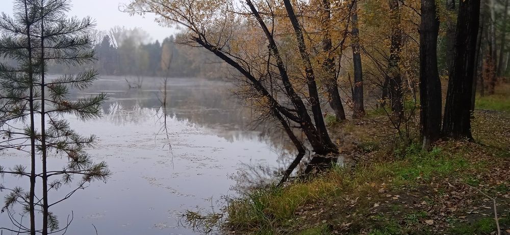 Photograph by Наталья Сорокина