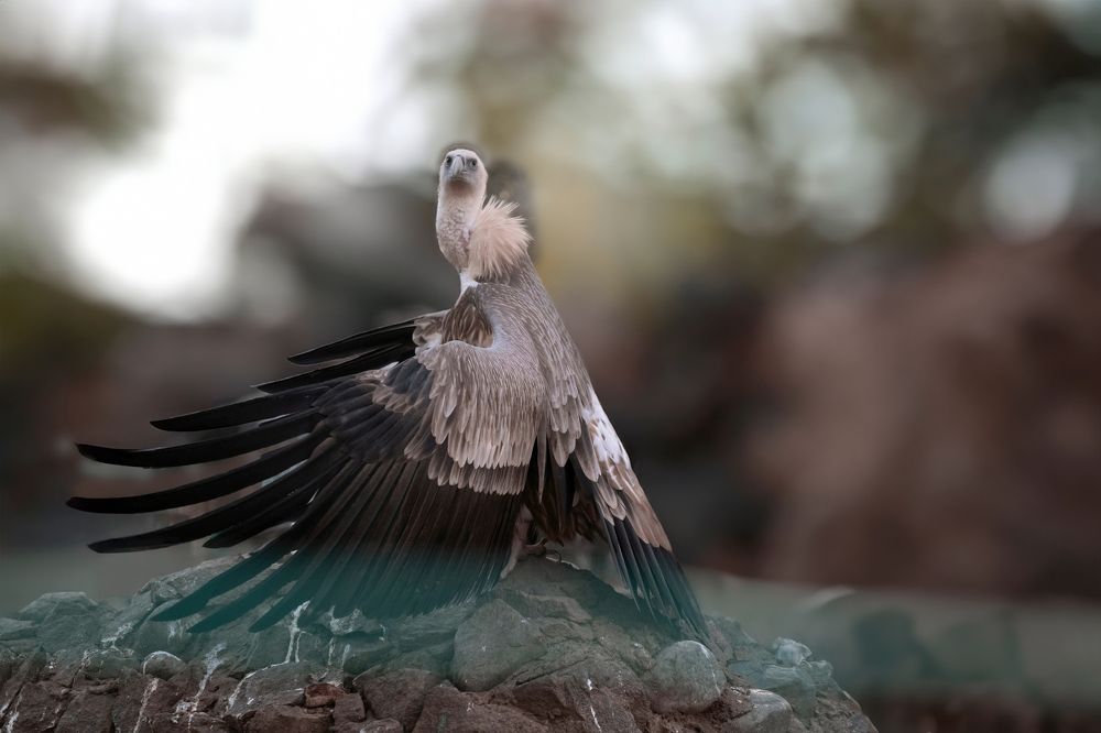 Photograph by Светлана Краюшкина