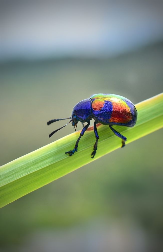 Photograph by Sherbaz Khan