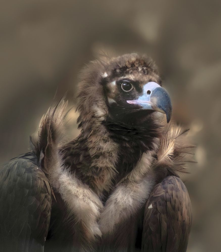 Photograph by Светлана Краюшкина