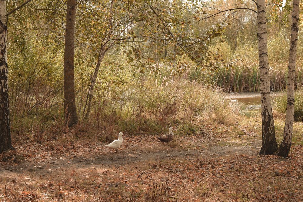 Фотография автора Ирина Мосько