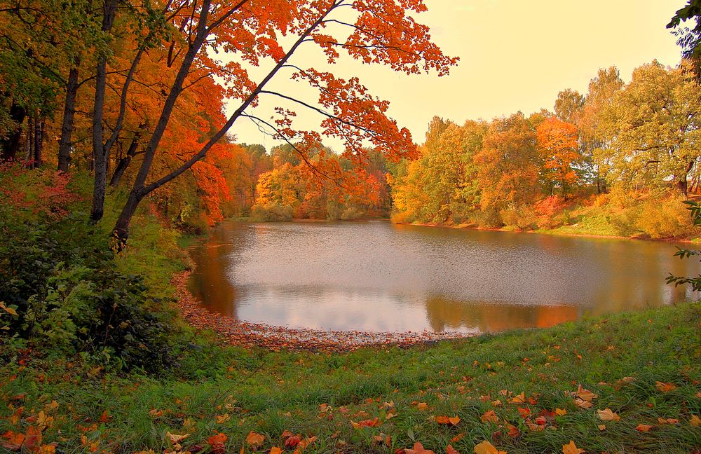 Осень в парке Спасское-Лутовиново
