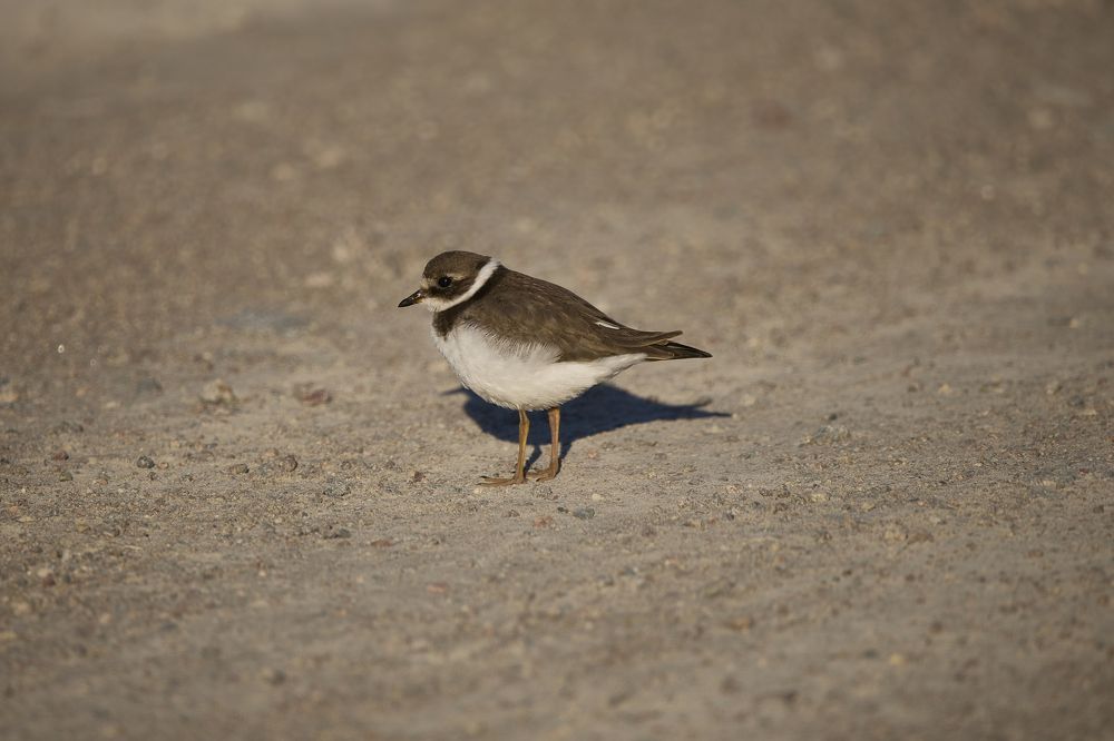 Photograph by Виктория Ахмылова