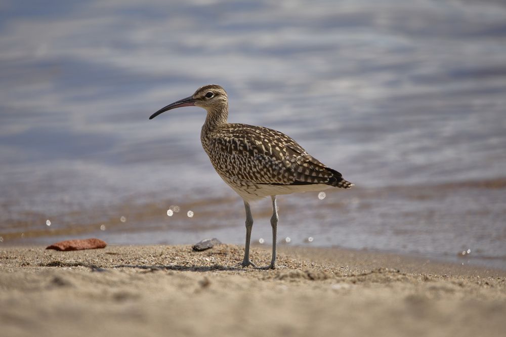Photograph by Виктория Ахмылова