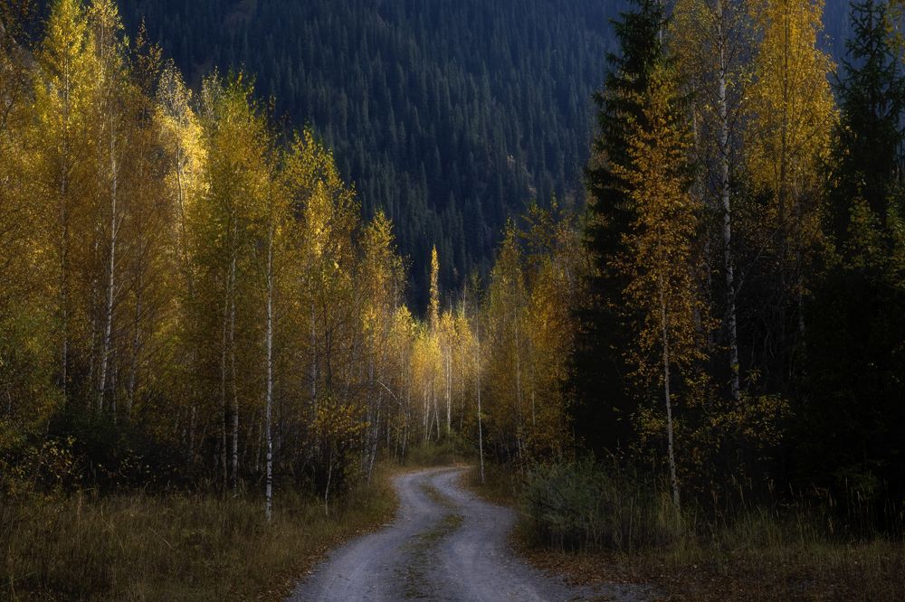 Photograph by Светлана Краюшкина