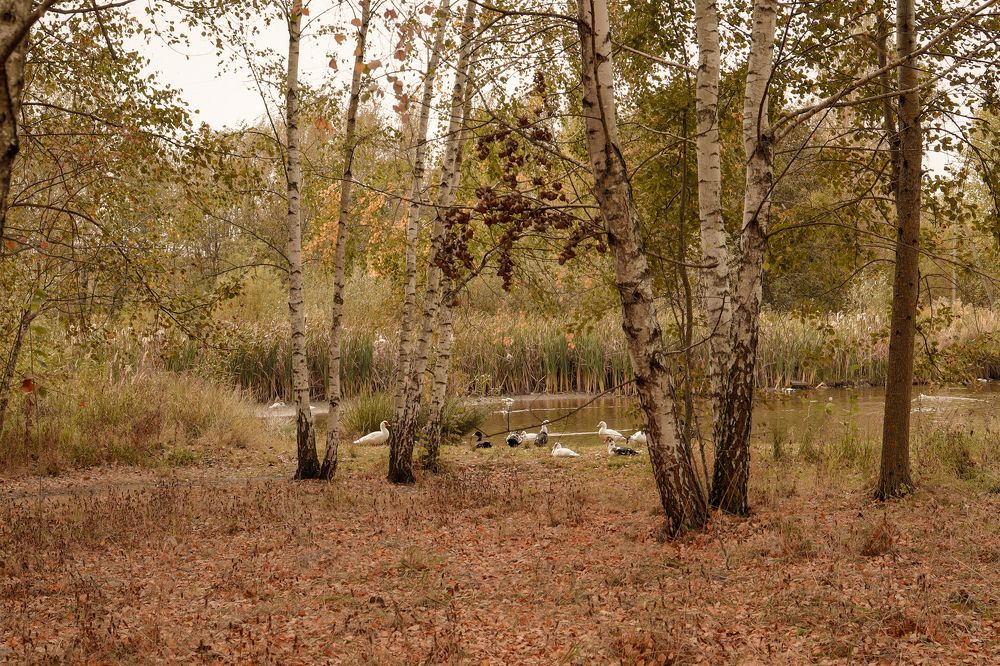 Фотография автора Ирина Мосько