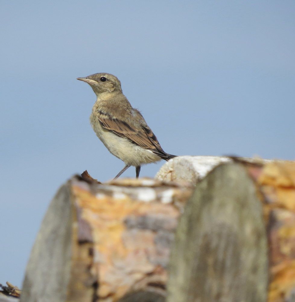 Photograph by Екатерина Филина