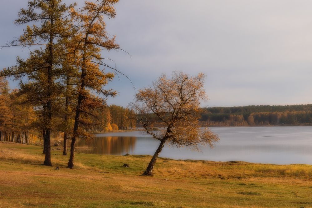 Photograph by Таипов Ильгиз