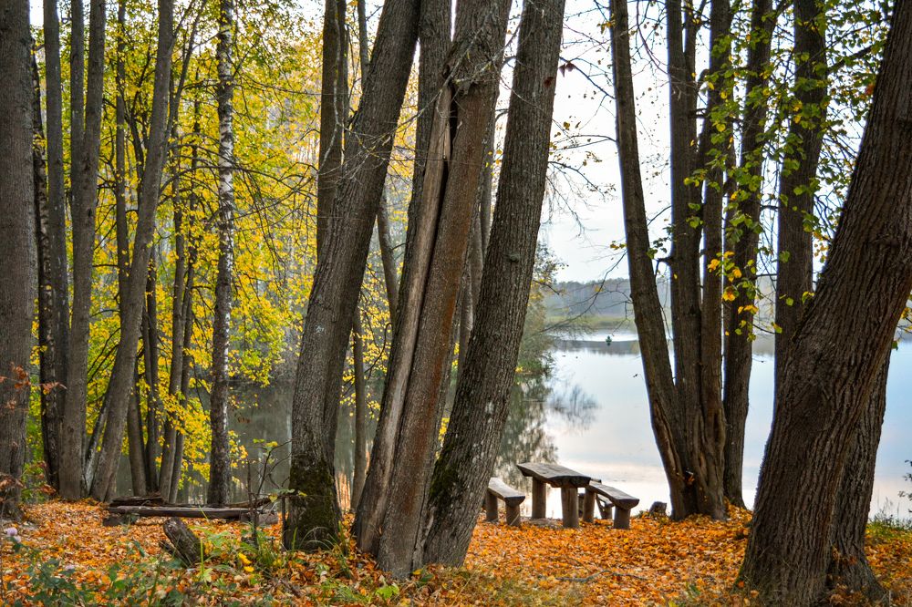 Photograph by Анастасия Гурова