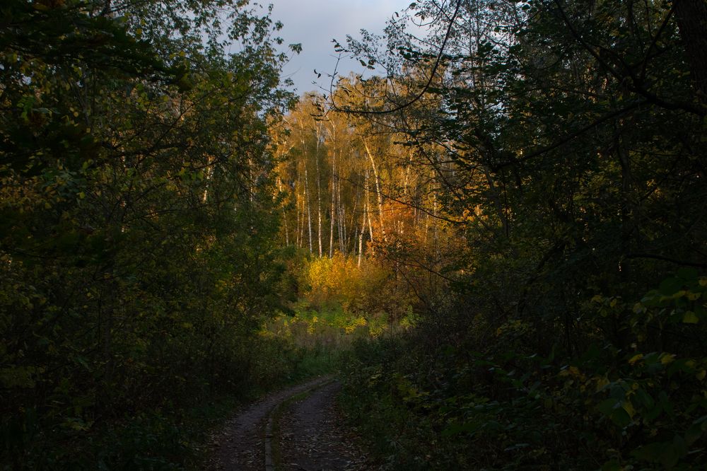 Photograph by Павел Герасимов