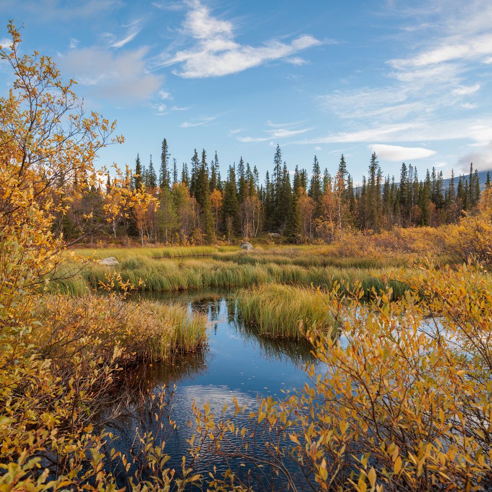 Фотография автора Андрей Русских
