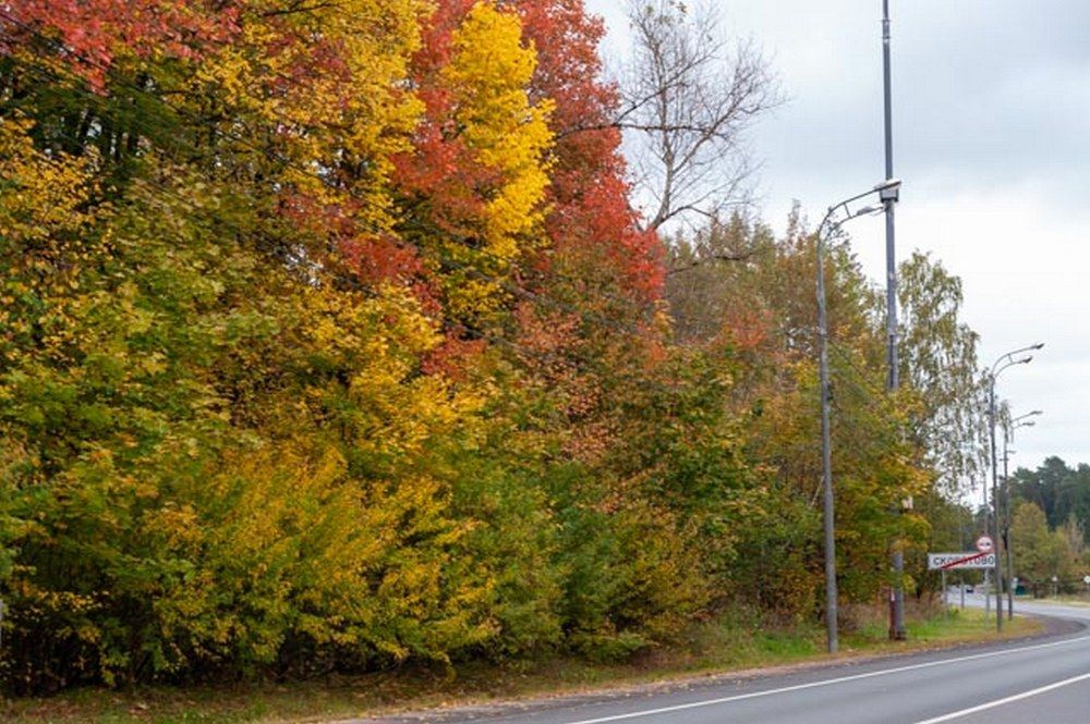 Фотография автора Виталий Дузь