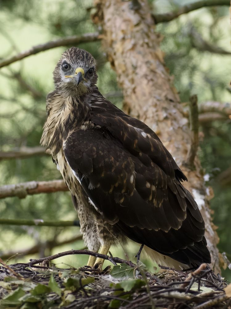 Photograph by Евгений