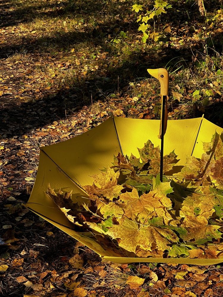 Photograph by Елена Брижеватая