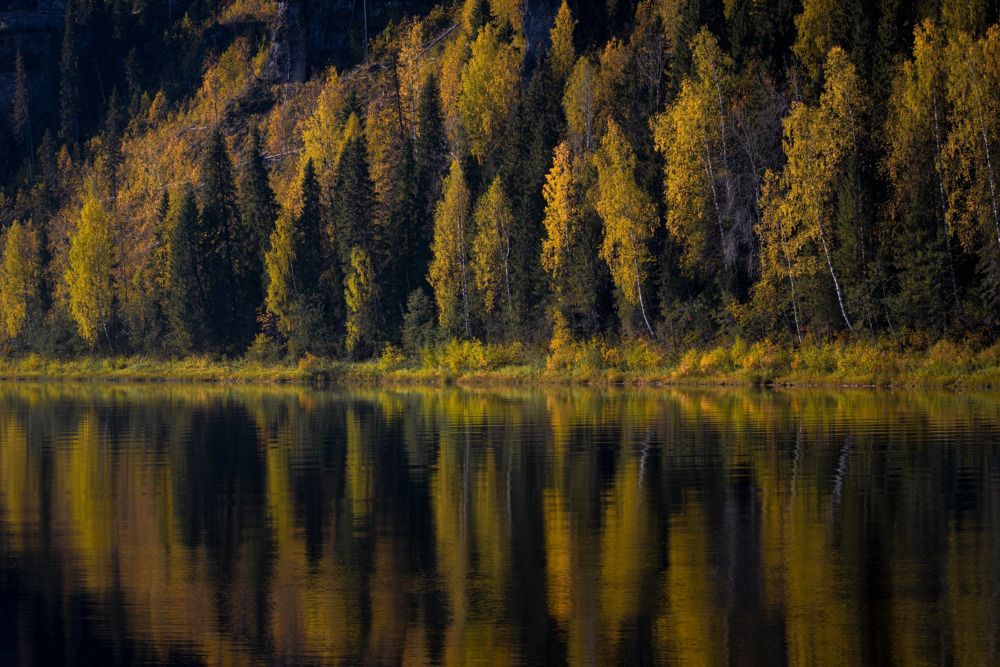 Photograph by Максим Ватрушкин