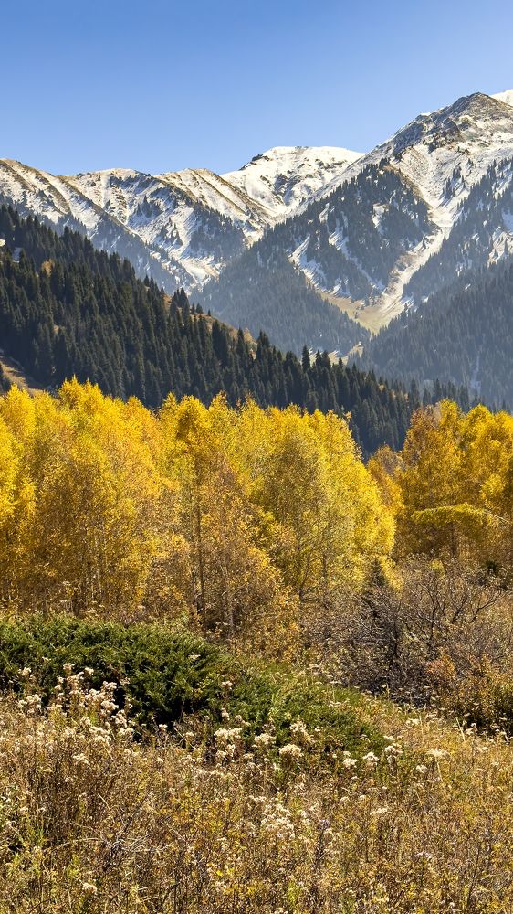 Три сезона: зелёное лето, золотая осень и снежная зима