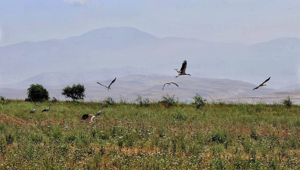 Photograph by Дина