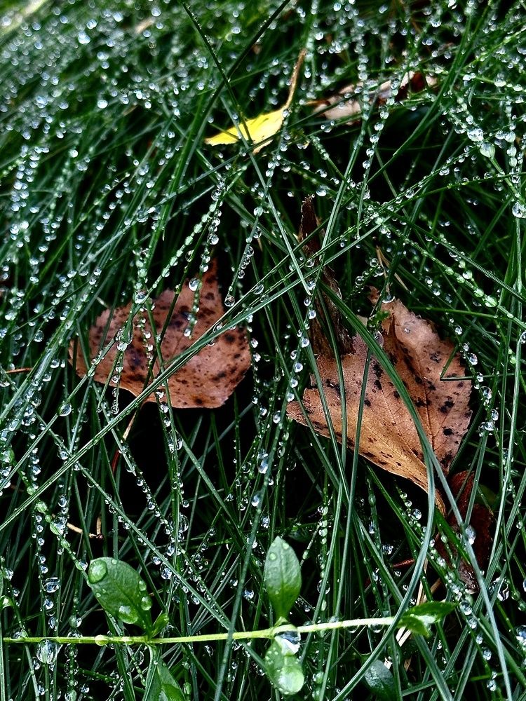 Photograph by Елена Брижеватая