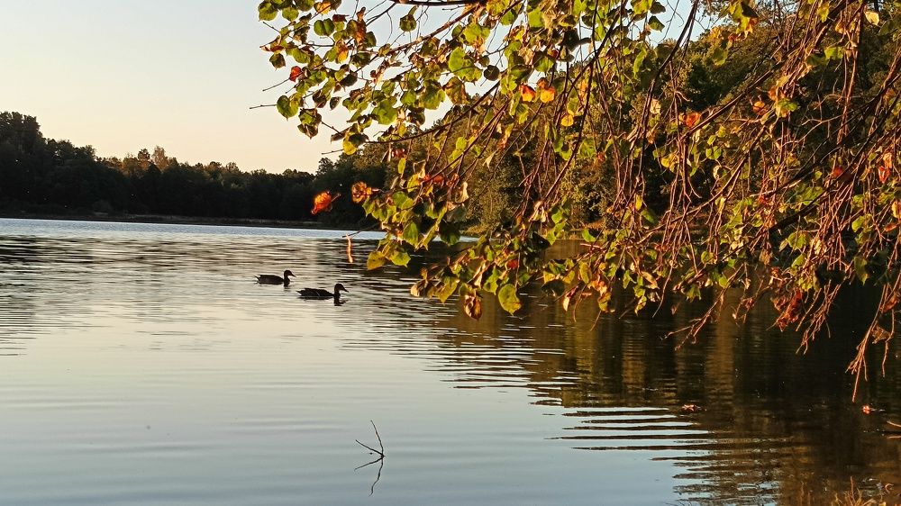 Photograph by Татьяна Пятернёва