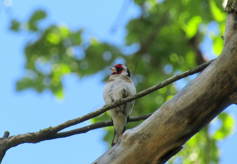 Photograph by Татьяна Смирнова