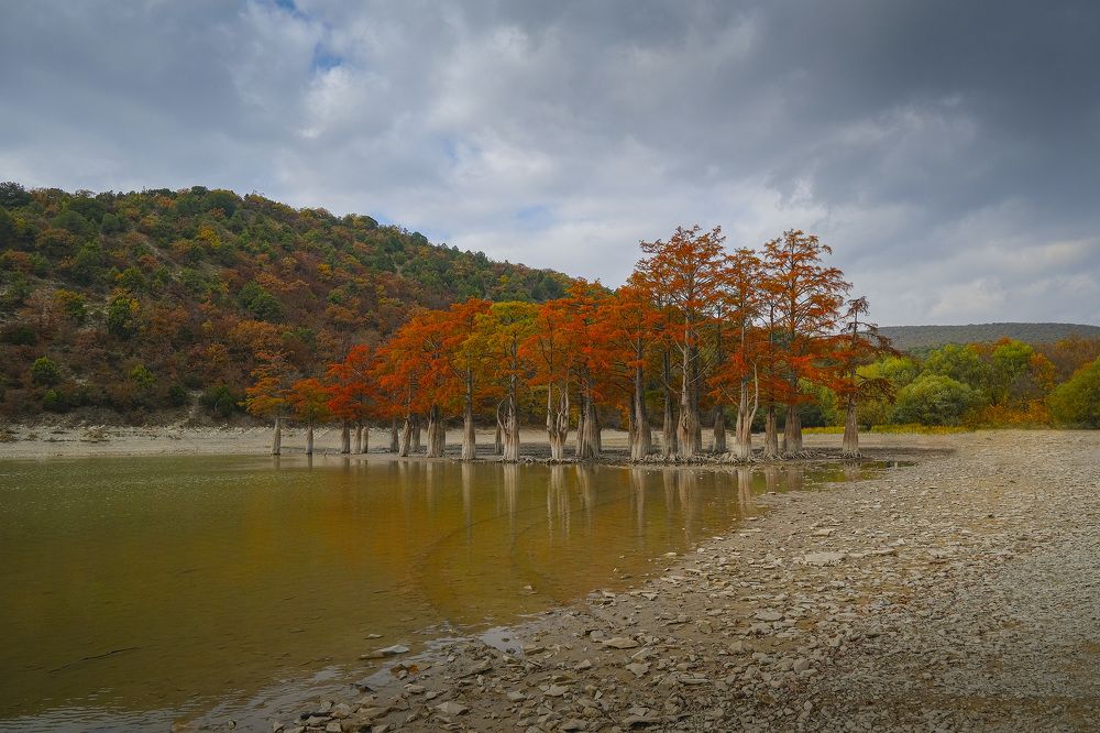 Photograph by Юрий Юрьевич Подгрушный