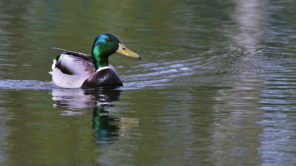 Photograph by Алексей Парамонов